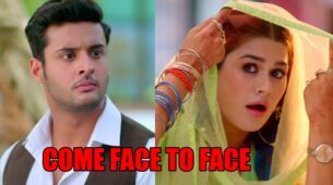 Meet spoiler alert: Meet Ahlawat and Manushi come face to face