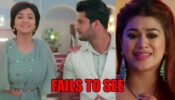 Meet spoiler alert: Meet Ahlawat and Meet Hooda fail to see Manushi