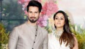 Mira Rajput Posts A Beautiful Pic On Instagram: Leaves Shahid Awestruck