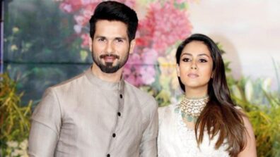 Mira Rajput Posts A Beautiful Pic On Instagram: Leaves Shahid Awestruck