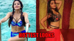 Monalisa To Amrapali Dubey: Hottest Looks From Bhojpuri Divas That Made Us Sweat