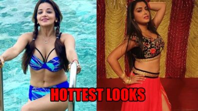 Monalisa To Amrapali Dubey: Hottest Looks From Bhojpuri Divas That Made Us Sweat