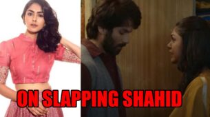 Mrunal Thakur Opens Up On Slapping Shahid Kapoor In Jersey: See Her Reactions