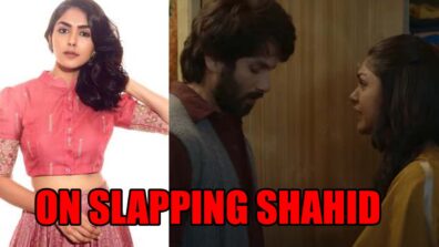 Mrunal Thakur Opens Up On Slapping Shahid Kapoor In Jersey: See Her Reactions