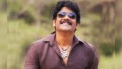 Nagarjuna & Son Naga Chaitanya Together On Screen