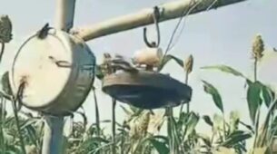 Oh My Lol! A Video Of A Farmer’s Desi Jugaad To Drive Away Birds From Crops Has Impressed The Internet