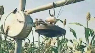 Oh My Lol! A Video Of A Farmer’s Desi Jugaad To Drive Away Birds From Crops Has Impressed The Internet