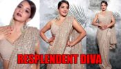 Oh So Hot: Monalisa looks like a resplendent diva in shimmery saree, fans can’t stop crushing