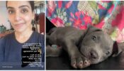Self-Appreciation: Samantha Ruth Prabhu Looks Back On Losing Sense Of Smell And Lacking Sleep In THIS Post