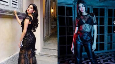 Sheer Black Outfits Are Always The Right Pick To Elevate An Outfit! Janhvi Kapoor Vs Ananya Panday: Which Outfit Would You Wear For a Glam Night Out?