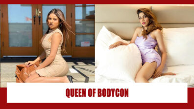 Shehnaaz Gill VS Nikki Tamboli: Queen of bodycon dress? Fan Battle