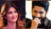 Shocking!!! Naga Chaitanya Had A Dream To Tie A Knot With Shruti Hassan