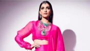 Sonam Kapoor Looks Absolute Goddess In Pink Lehenga & Flowy Skirt: See Pic