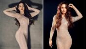 Style Inspo! Nora Fatehi VS Malaika Arora: Which B’Town Beauty Gets A 10/10 For Styling The Sheer Bodycon Gown Better?