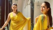 Style Steal: 5 Times Mira Rajput Looked Resplendent In A Saree And We Are Taking Notes
