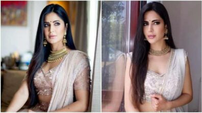 The Internet Has Found A Doppelganger Of Katrina Kaif, View Here To See The Pics