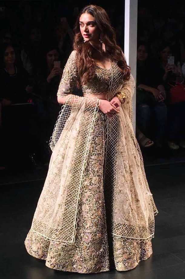 Times Aditi Rao Hydari Defined Royalty With Her Special Looks - 0