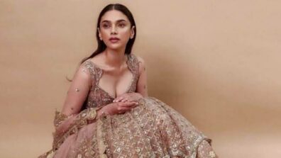 Times Aditi Rao Hydari Defined Royalty With Her Special Looks