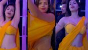 Uff Too Hot: Sonali Raut recreates Raveena Tandon’s ‘Tip Tip Barsa Paani’ magic, fans can’t stop sweating