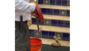 Watch A Scary Video: An Animal Rescuer Was Seen Capturing A Venomous Rattlesnake In A Bucket