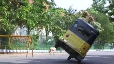 Watch: A Video Of Man Riding Autorickshaw On Two Wheels, Sets World Record, Netizens Can’t Keep Calm