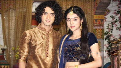 Watch Now: When RadhaKrishn fame Sumedh Mudgalkar and Mallika Singh got emotional about their special journey together