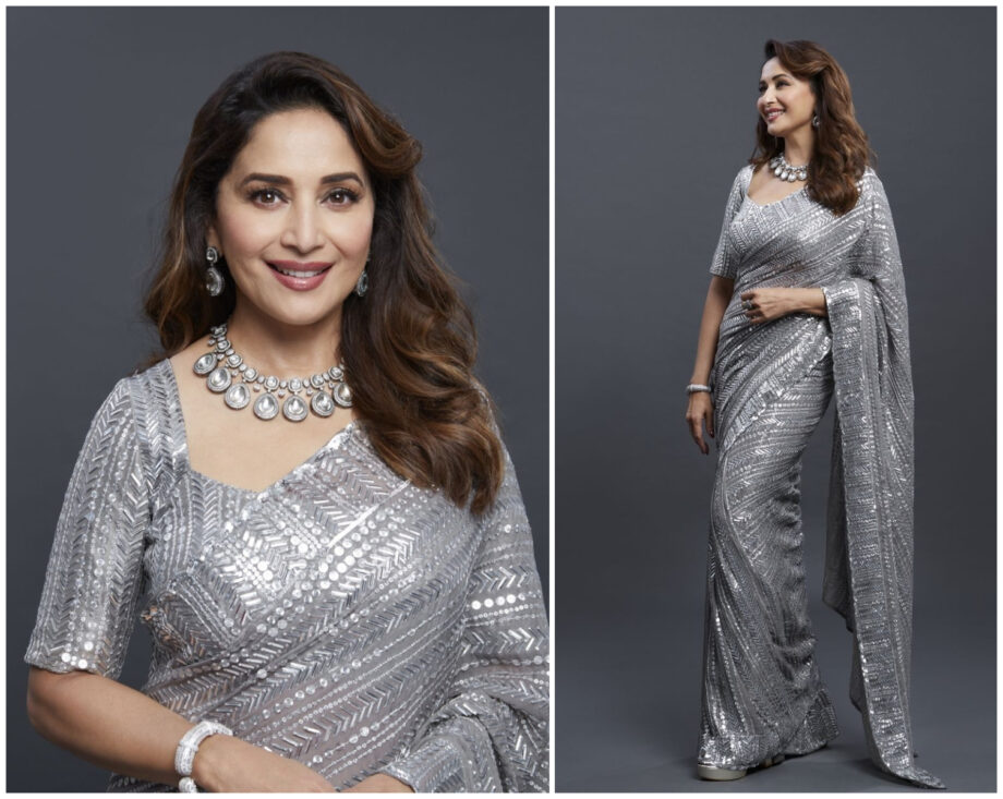 When Bollywood Beauties Looked Right Out Of A Dream In Brightening Silver Sarees; From Tara Sutaria To Madhuri Dixit - 2