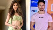 SURPRISE: Disha Patani reveals her ‘crush’ and the person she wants to ‘marry’ and it is NOT Tiger Shroff