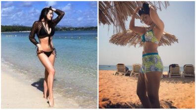 Natasa Vs Dhanashree: Which Diva’s Vacation Outfits Will You Steal?