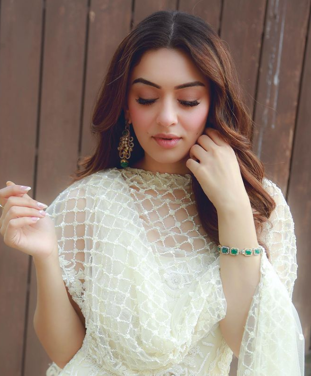 5 Makeup Looks Of Hansika Motwani To Bookmark For The Next Wedding You Attend - 0