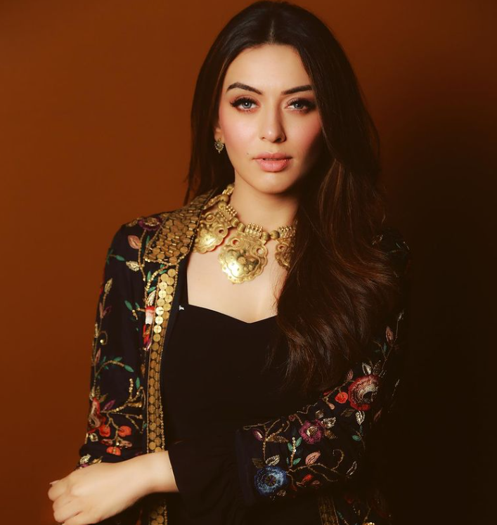 5 Makeup Looks Of Hansika Motwani To Bookmark For The Next Wedding You Attend - 1