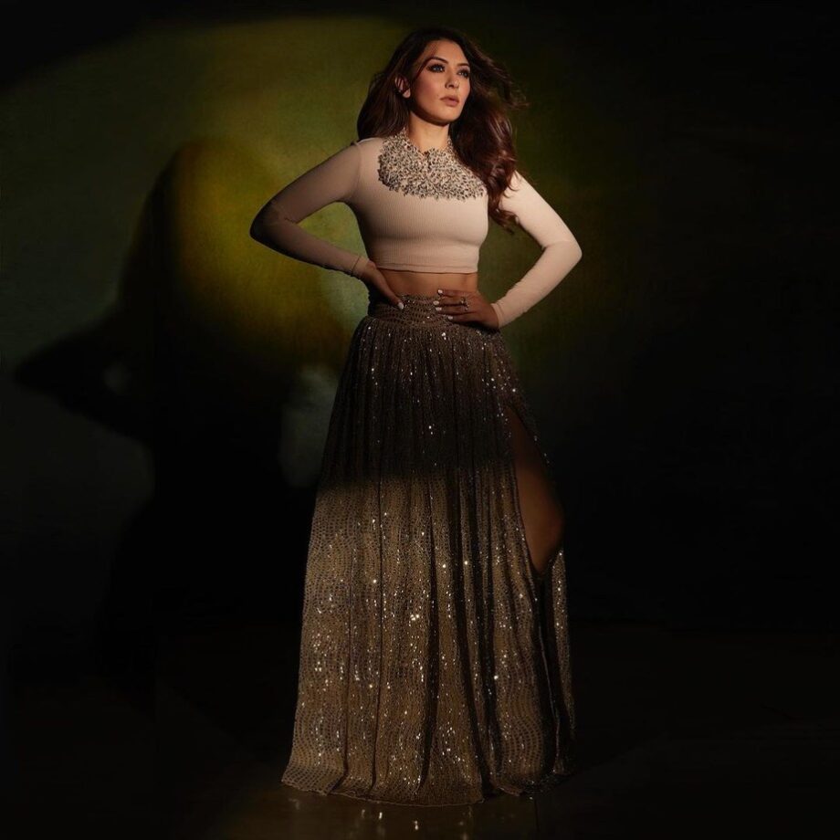 Slay The Indo-Western Trend Just Like Hansika Motwani, Take Cues - 0