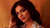 Unknown Facts About The Captivating Beauty Malavika Mohanan