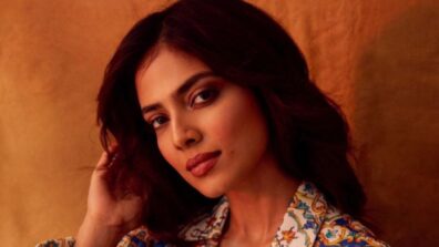 Unknown Facts About The Captivating Beauty Malavika Mohanan