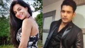 Aastha Chaudhary Opens Up On Co-Star Sidharth Shukla’s Sudden Demise; Says, ‘I Am Still Grieving And Yet To Come To Terms With The Loss’