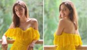 Less Is More! Minimalist Makeup Looks Of Ananya Panday To Wear When You’re Pressed For Time, Take Cues