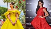 Sonam Kapoor To Katrina Kaif: 3 Bollywood Celeb Ashi Studio Gowns You Would Want For Yourself