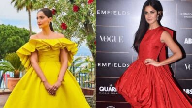 Sonam Kapoor To Katrina Kaif: 3 Bollywood Celeb Ashi Studio Gowns You Would Want For Yourself