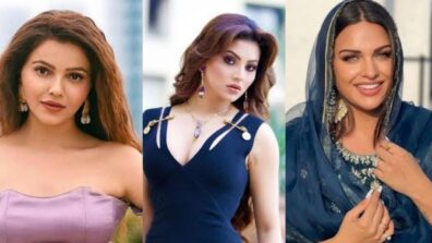 Rubina Dilaik To Himanshi Khurana: Divas Who Bashed Trolls Like A Queen