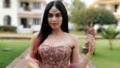 Adah Sharma Opens Up On Her Dreams After Becoming An Actor: Read Here