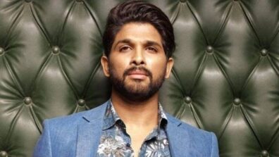 Allu Arjun Apologizes To Kannada Journalist: Know Why?