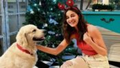 Ananya Panday calls herself ‘Low Key’, know why