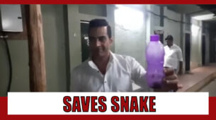 Anupamaa fame Sudhanshu Pandey turns saviour for a baby snake, check video