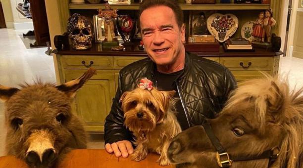 Arnold Schwarzenegger To George Clooney: Hollywood Celebs Who Have The Most Exotic Pets - 0