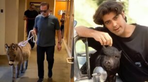 Arnold Schwarzenegger To George Clooney: Hollywood Celebs Who Have The Most Exotic Pets