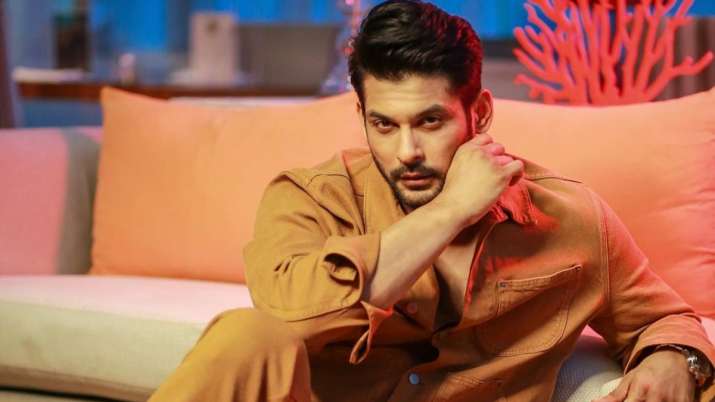 Asim Riaz To Aly Goni: Bigg Boss Men Who Stunned Us With Their Hotness - 1