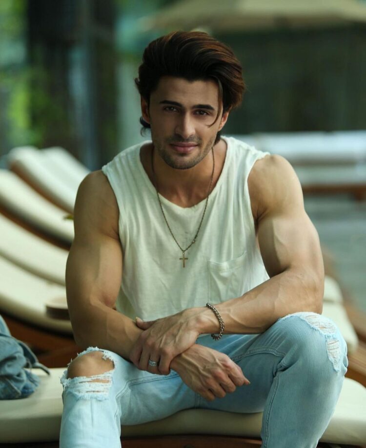 Asim Riaz To Aly Goni: Bigg Boss Men Who Stunned Us With Their Hotness - 4