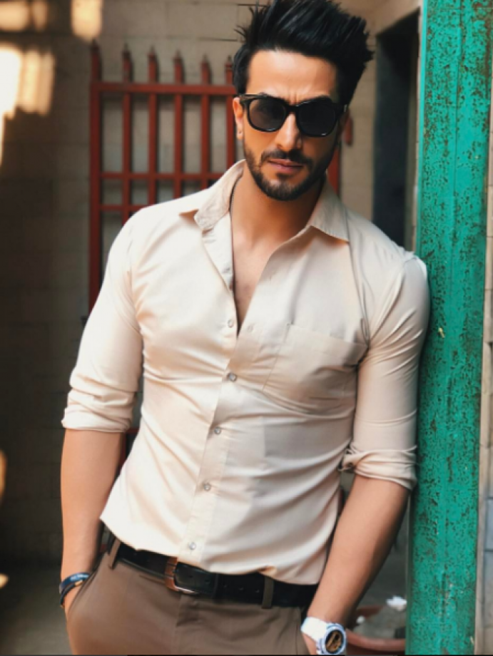 Asim Riaz To Aly Goni: Bigg Boss Men Who Stunned Us With Their Hotness - 5