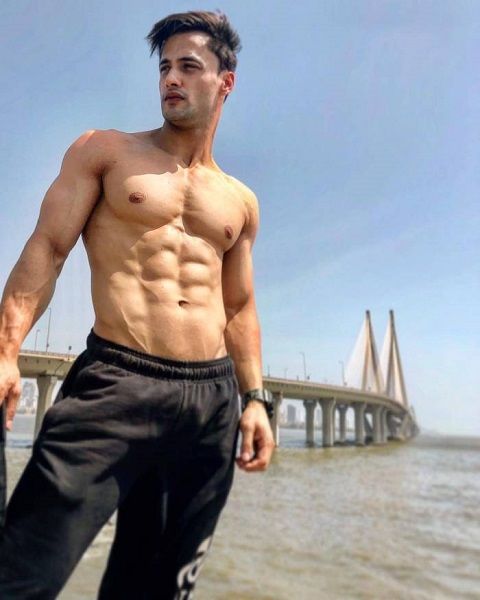 Asim Riaz To Aly Goni: Bigg Boss Men Who Stunned Us With Their Hotness - 0