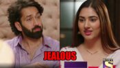Bade Achhe Lagte Hain 2 spoiler alert: Ram makes Priya feel jealous